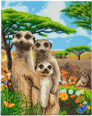 Craft Buddy Framed Crystal Art Kit, 40 x 50cm -Meerkat Family