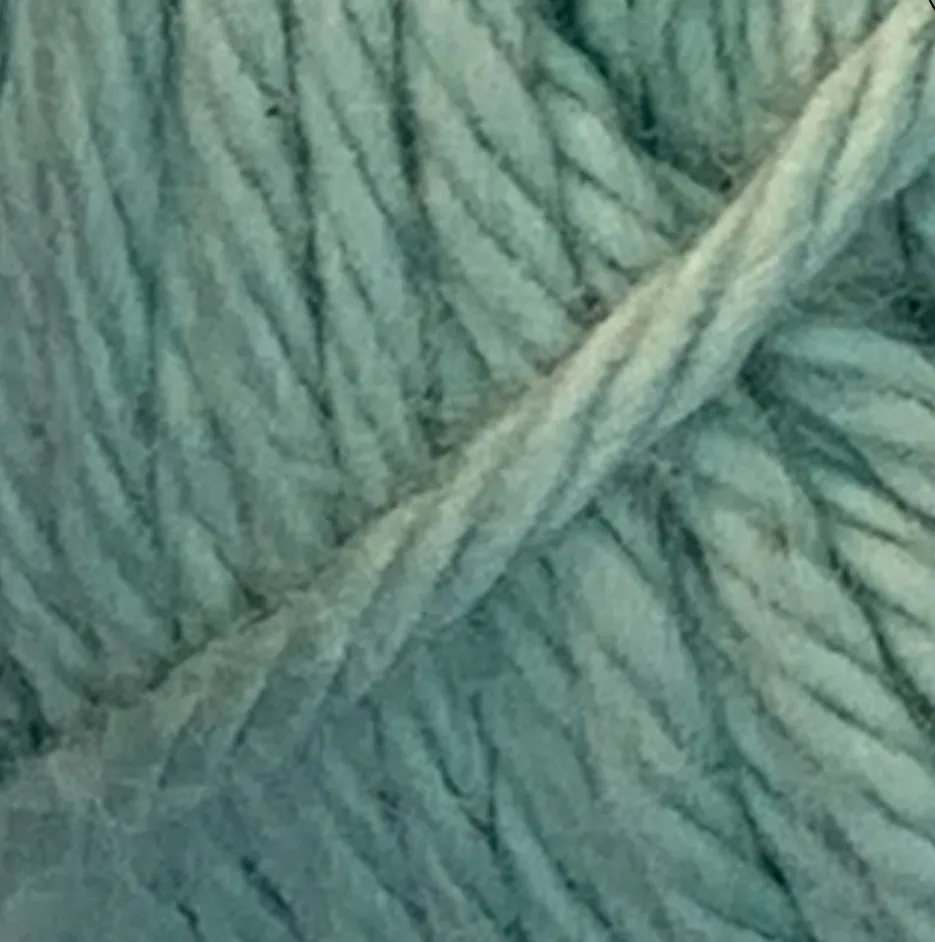 Fiddlesticks Finch Cotton - 10ply - 6243 Pond
