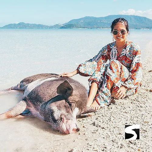 Private Pig Island Snorkeling & Longtail Boat - Cruise Excursion