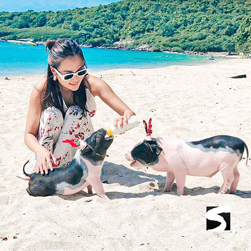 Private Pig Island Snorkeling & Longtail Boat - Cruise Excursion