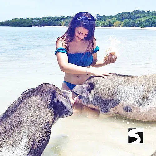 Private Pig Island Snorkeling & Longtail Boat - Cruise Excursion