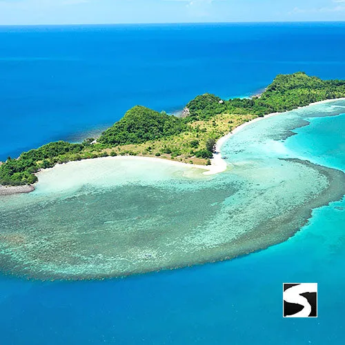 Private Pig Island Snorkeling & Longtail Boat - Cruise Excursion