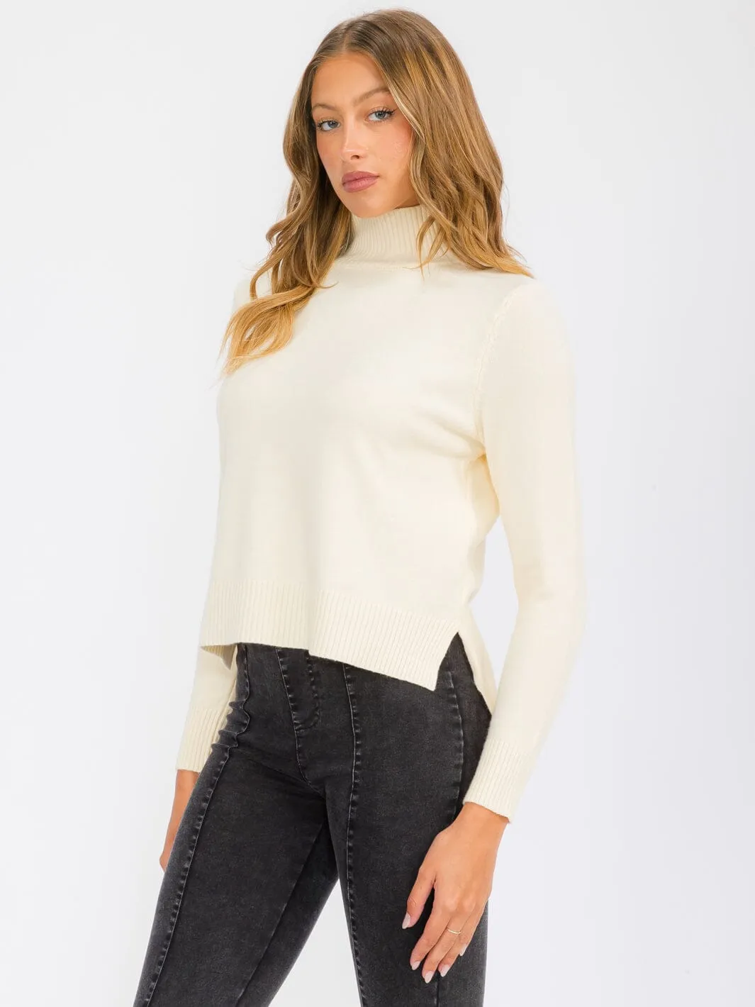 WOMEN'S LONG SLEEVE TURTLE NECK BLOUSE TOP
