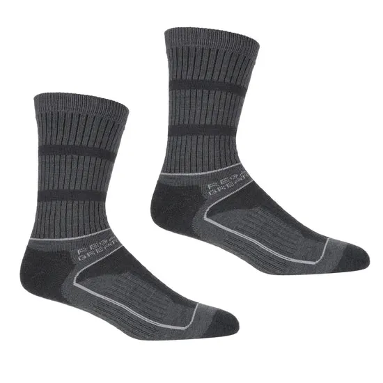 Women's Samaris 3 Season Socks Briar Light Steel